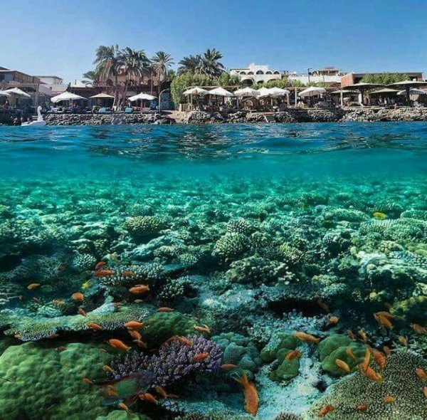 Шарм-Эш-Шейх Египет