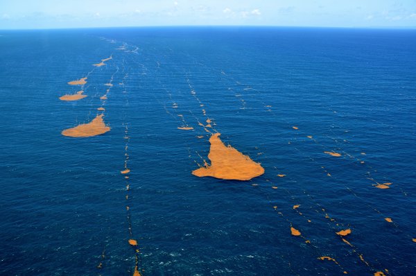 Саргассово море острова