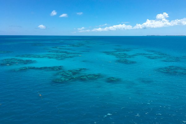 Саргассово море моря