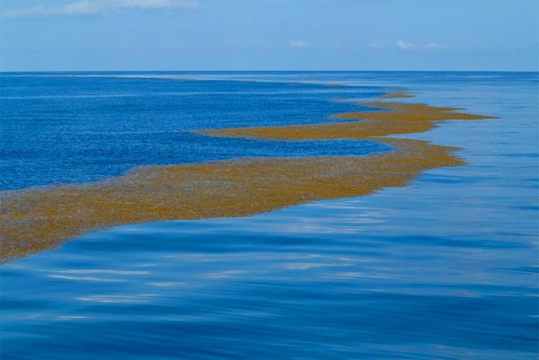 Если в Казахстане море