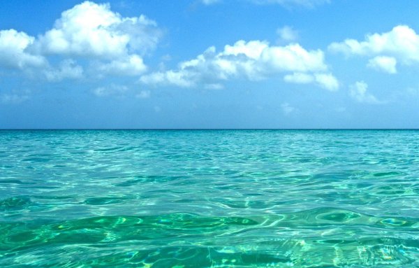 Прозрачное море