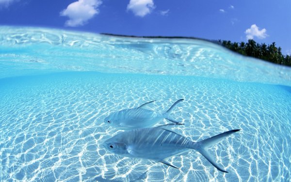 Обои на рабочий стол море