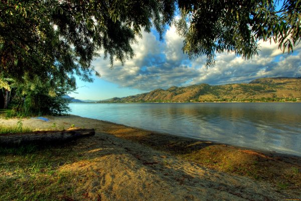 Реки в океане