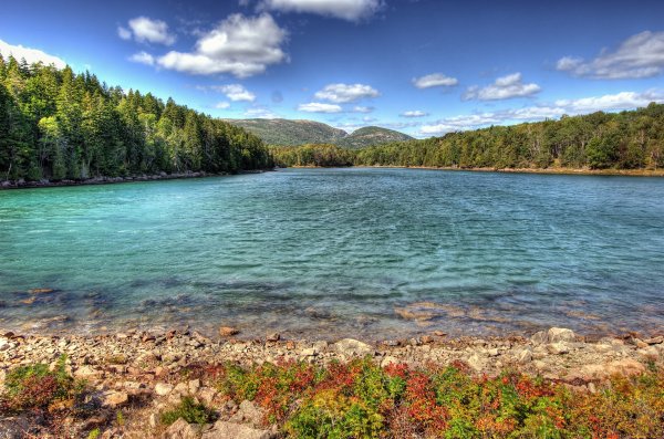 Реки воды живой