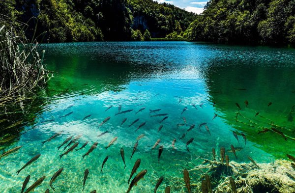 Плитвицкое озеро Хорватия