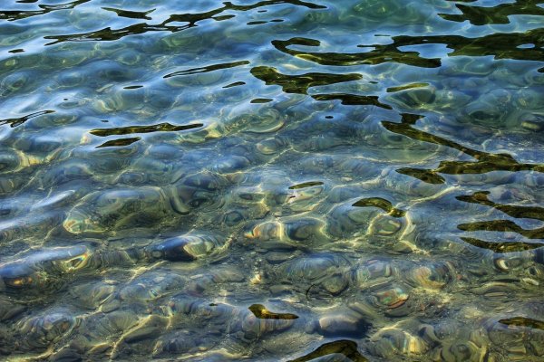 Водная поверхность