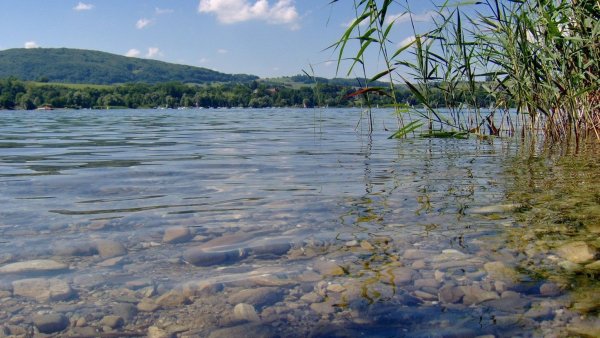 Река Вонча в Марий Эл