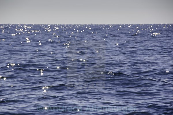 Открытое черное море