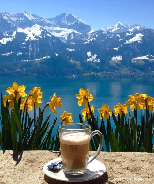 Доброе утро горы