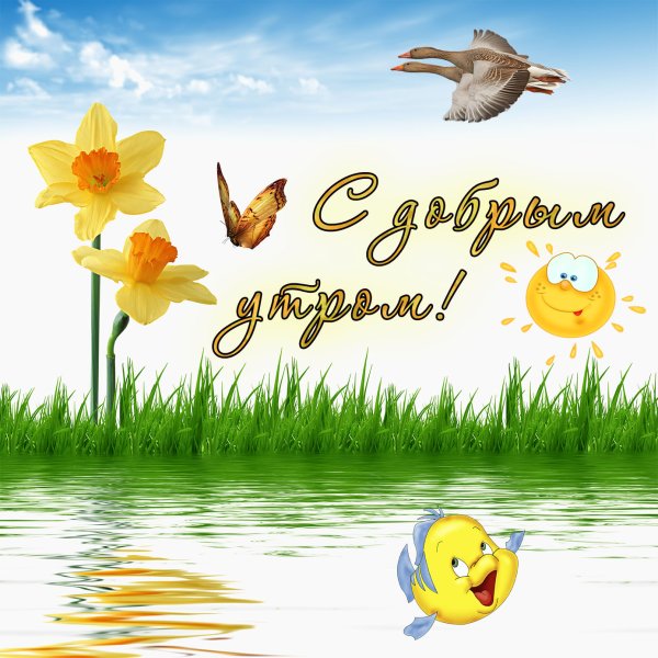 Доброе Морское утро