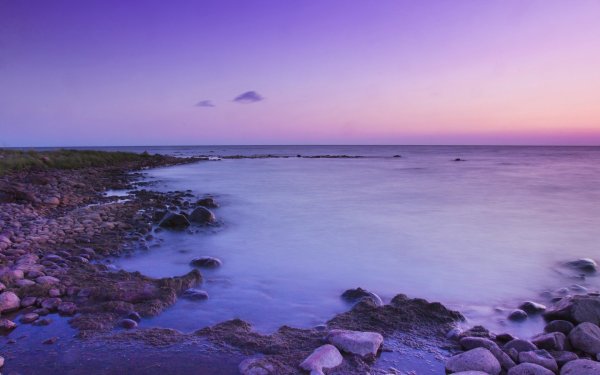 Сиреневое море