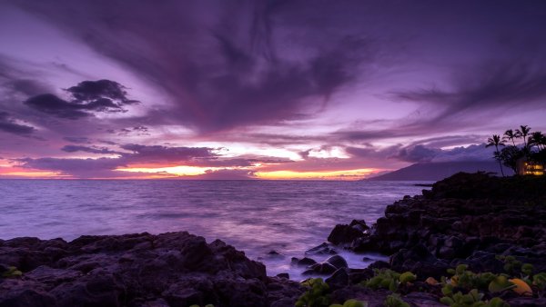 Фиолетовый пейзаж