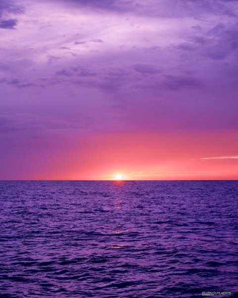 Розовый закат