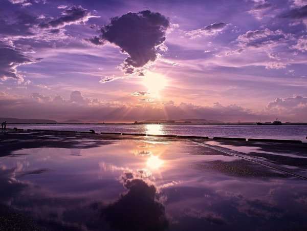 Розовое море