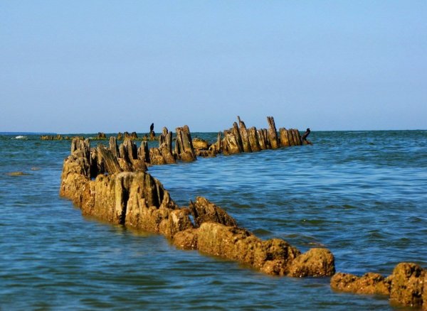 Берег Азовского моря Ейск