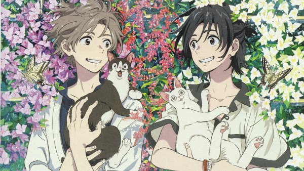 Мио Тибана незнакомец на берегу моря