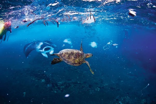 Пластиковые отходы в море