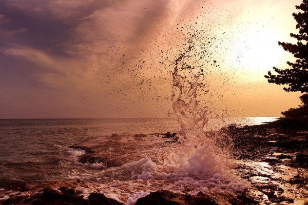 Море плещется