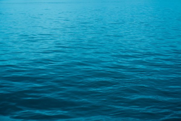 Водная поверхность