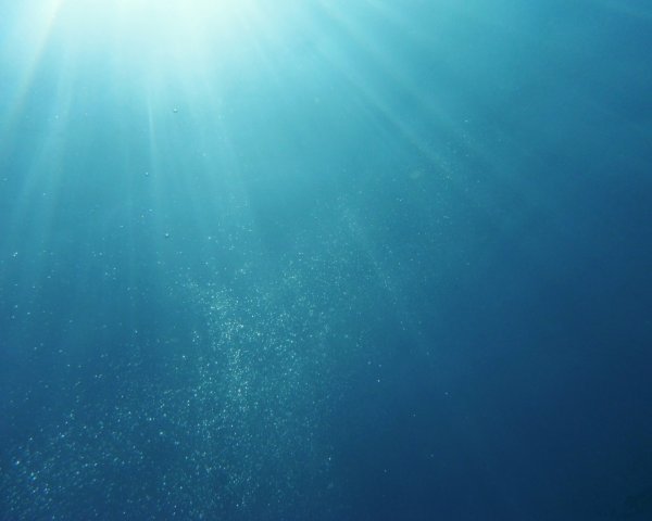 Фон под водой