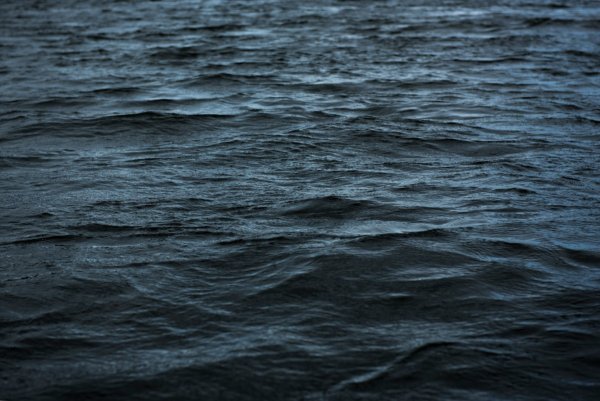 Черная вода
