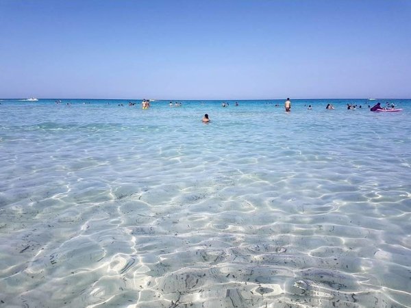 Сусс Джерба