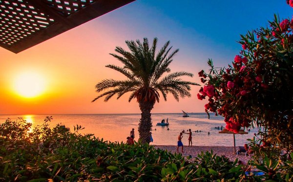 Фоута Тунис