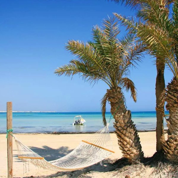 Сиди бу Саид в Тунисе