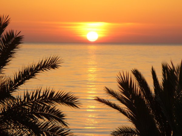 Хаммамет сиди бу Саид