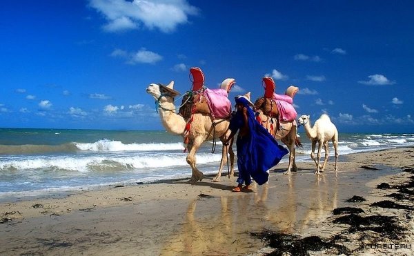 Тунис пляжи с белым песком Джерба