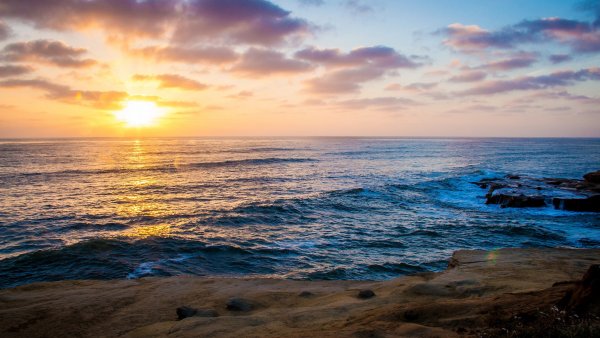 Море пальмы