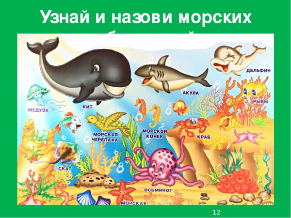 Животные морей и океанов для детей