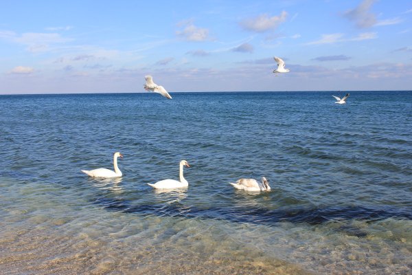 Черное море Феодосия