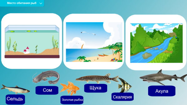 Морские обитатели с названиями для детей