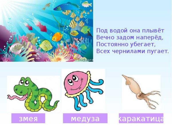 Жизнь в океане