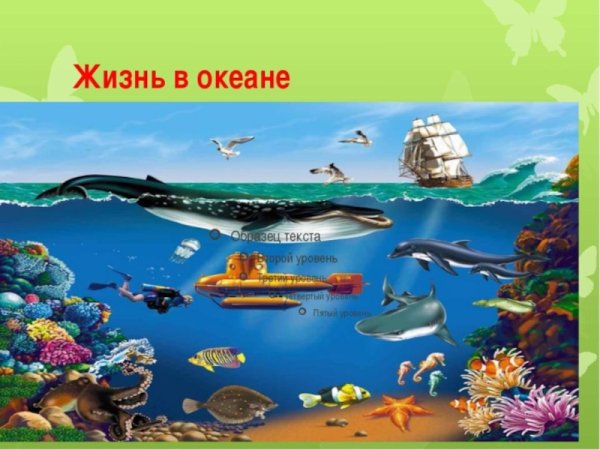 Морские обитатели для дошкольников