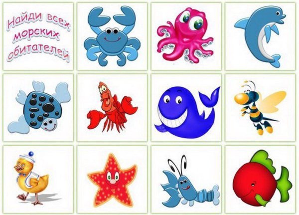 Найди тень морские обитатели