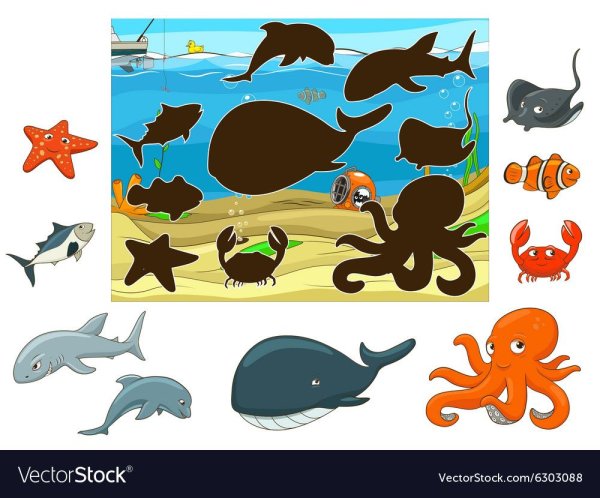 Речные обитатели