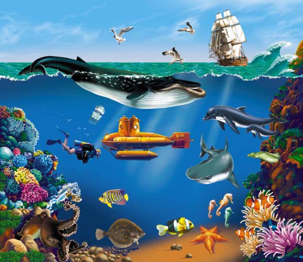 Морские обитатели названия