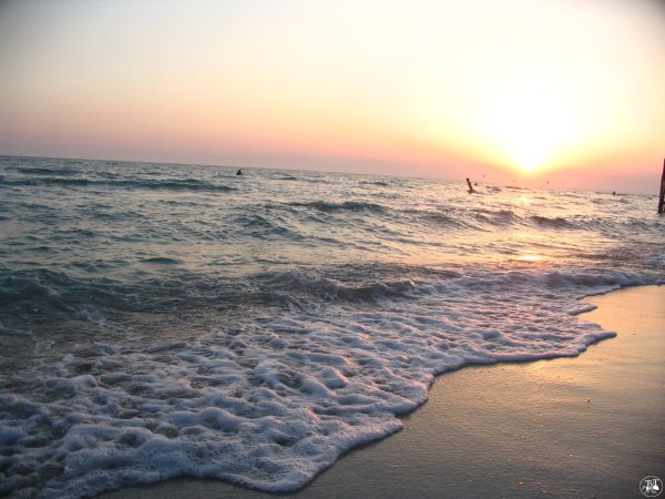 Пляж золотые Пески Евпатория