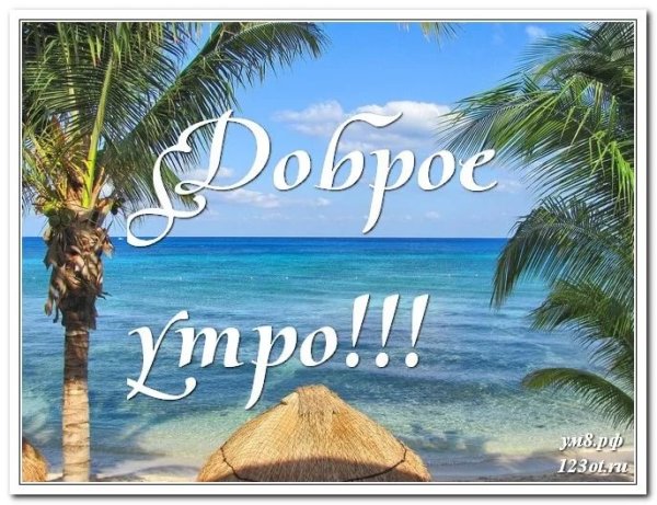 Открытки с добрым утром с морем красивые