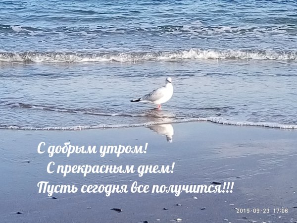 Открытки с добрым утром морские