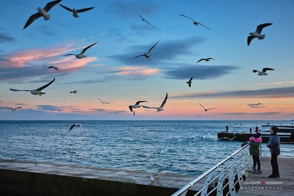 Черное море Затока