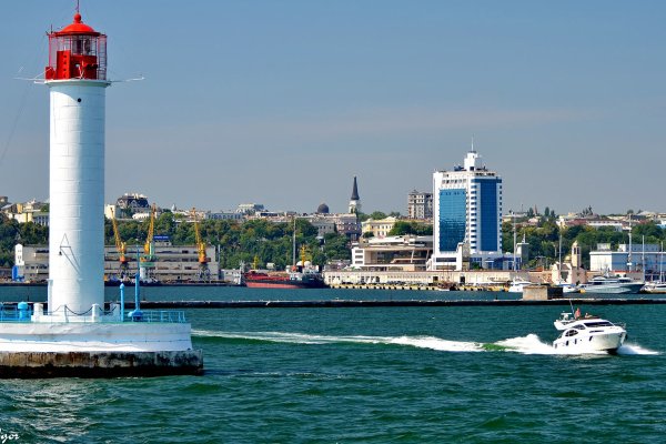 Чайки на пляже