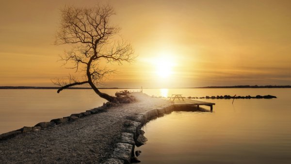 Душевного равновесия и гармонии