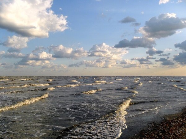 Темрюкский залив Азовского моря