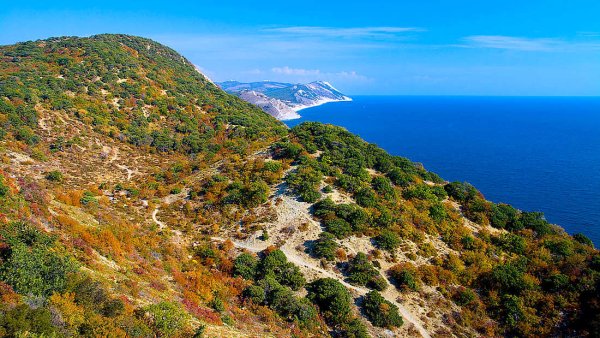 Черное море природа Краснодарского края