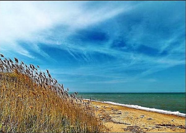 Азовское море Таманский полуостров