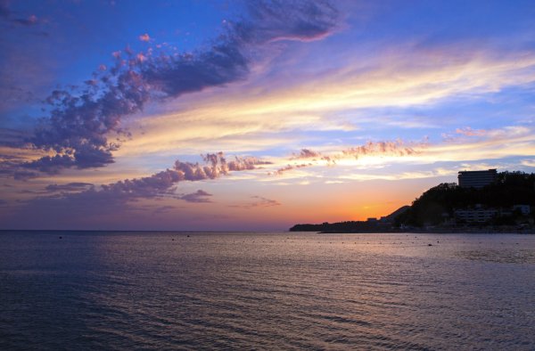 Геленджик субтропики