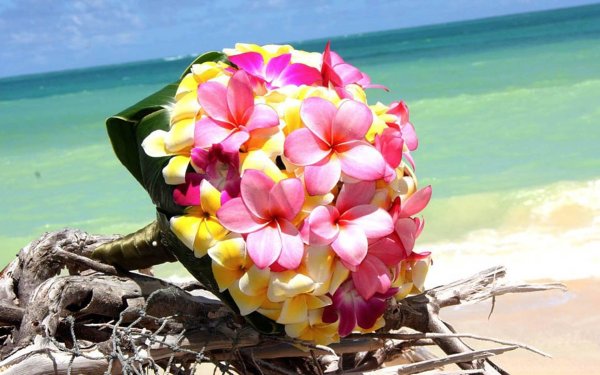 Необычные букеты